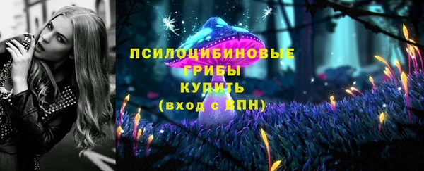 apvp Арсеньев