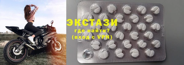 стаф Щигры